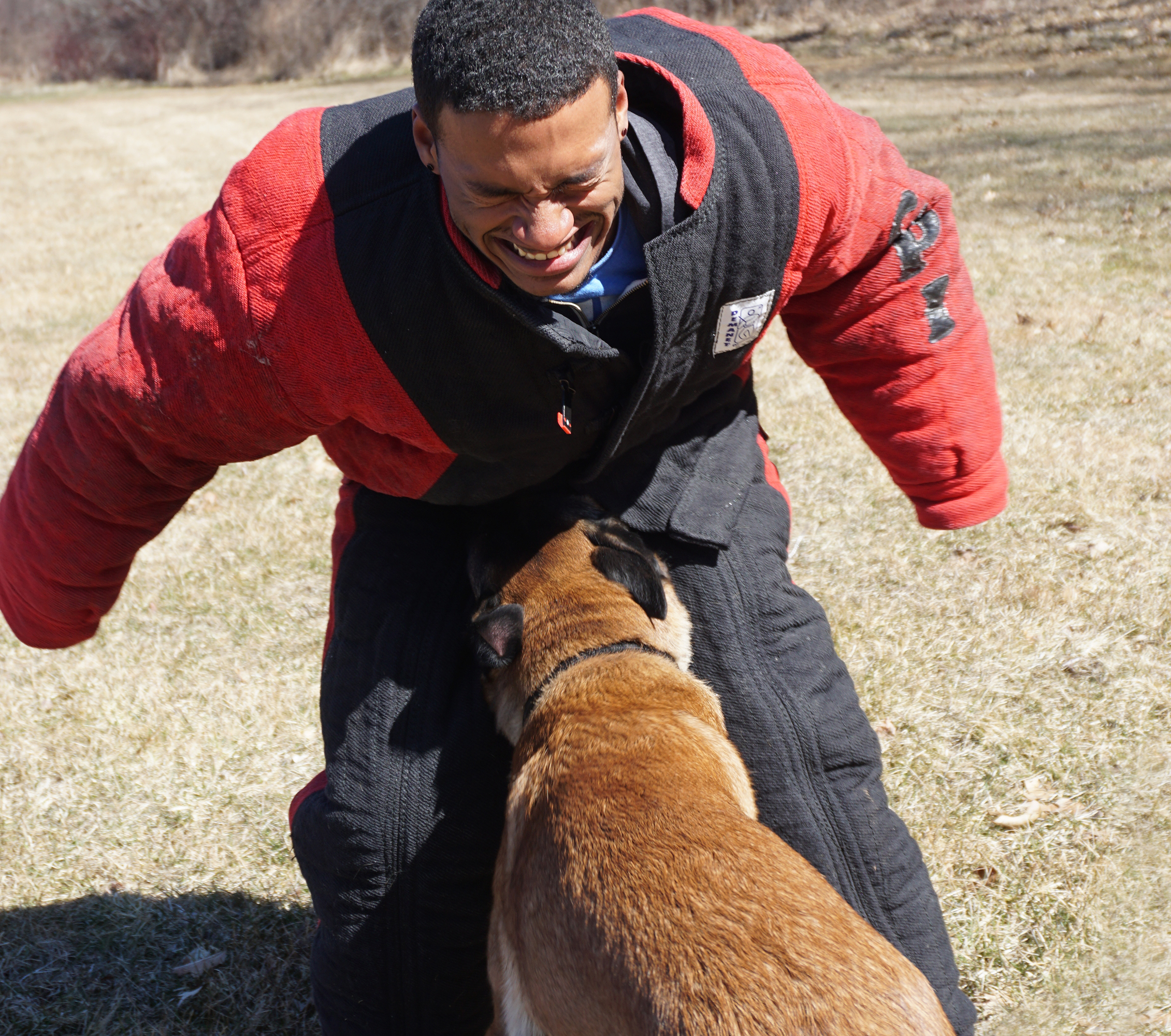 Protection Dog Blog Shock and Awe